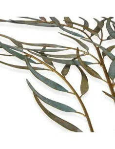 CUADRO METALICO TREE 2