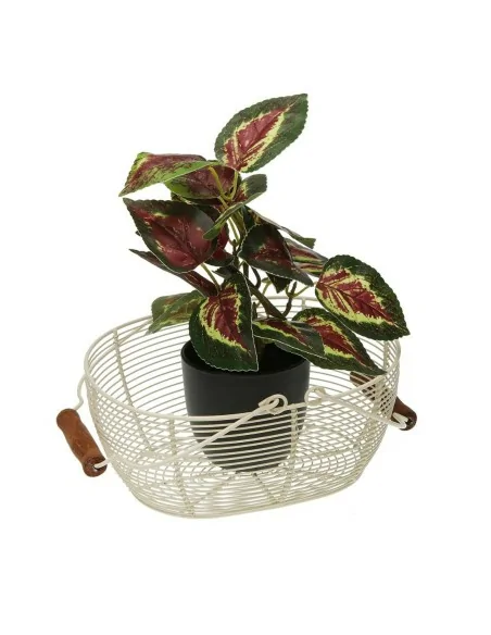 FRUTERO  CESTA BLANCO 2