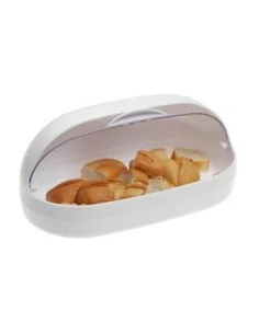 PANERA TRANSPARENTE 2 2