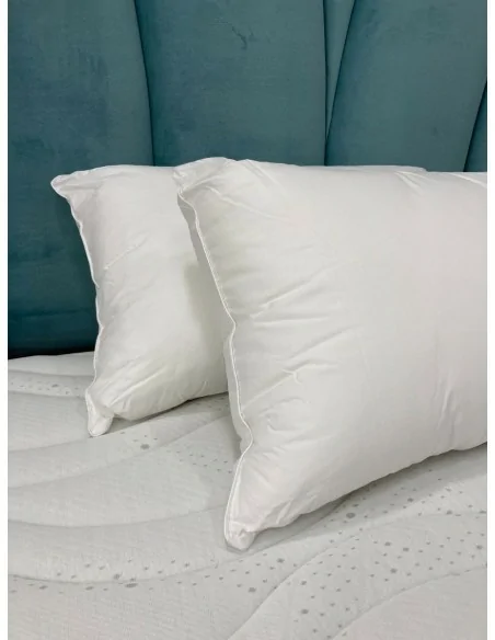 Conjunto 2 Almohadas de Algodón Egipcio