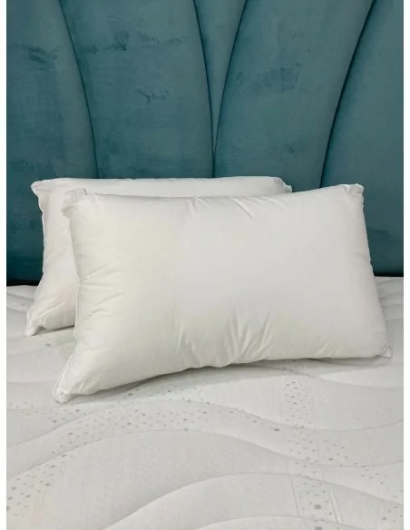 Conjunto 2 Almohadas de Algodón Egipcio