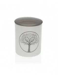 TAZA INFUSION LIVELY 2