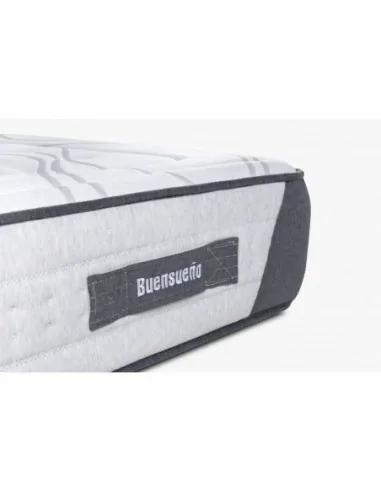 Barroque Plus Barroque Plus