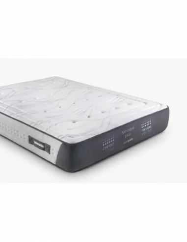 Barroque Plus Barroque Plus