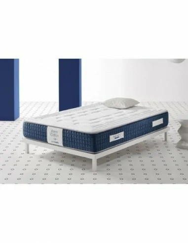 Fresh Cotton Fresh Cotton