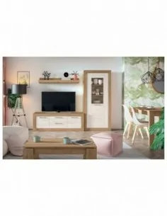 Muebles conjunto de salon...