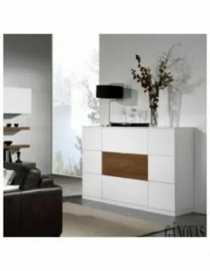 Muebles de salon diseño...