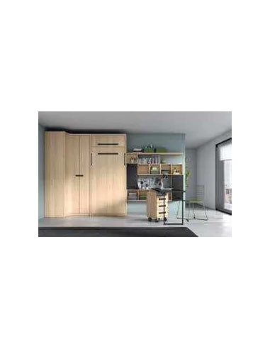 Dormitorio juvenil diseño moderno con varios colores y distribuciones disponibles (67)