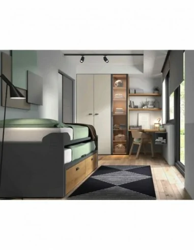Dormitorios juveniles a medida a diseño moderno  con camas abatibles literas diferentes colores  (42)