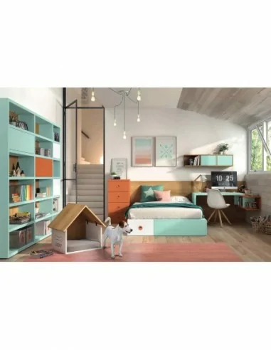 Dormitorios juveniles a medida a diseño moderno  con camas abatibles literas diferentes colores  (56)