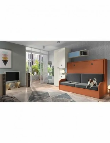 Dormitorios juveniles a medida a diseño moderno  con camas abatibles literas diferentes colores  (81)