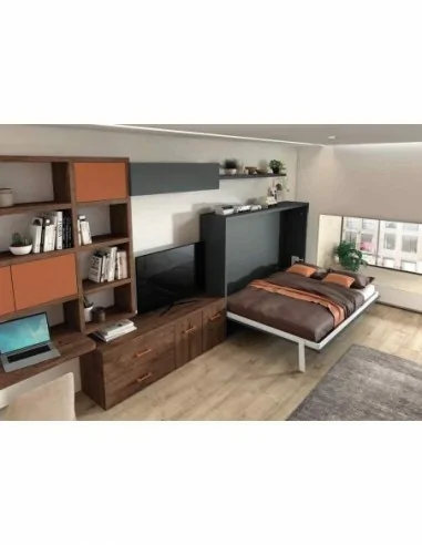 Dormitorios juveniles a medida a diseño moderno  con camas abatibles literas diferentes colores  (91)