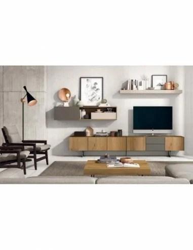 Salon diseño moderno mezcla de madera con varios colores con estantes y aparadores a juego (17)