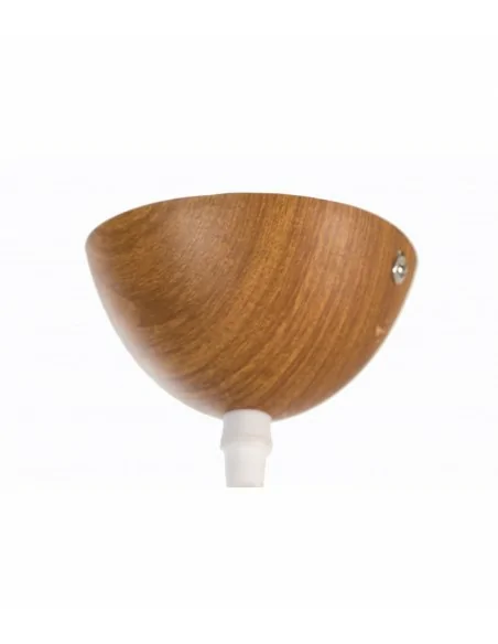 Lampara de Techo Cupula