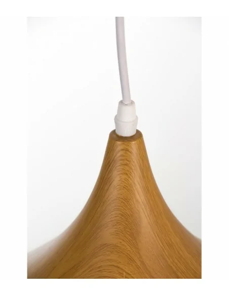 Lampara de Techo Cupula