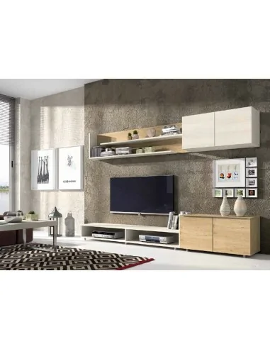 Composicion modular de salon moderna con vitrinas muebles colgados a diseño  (151)