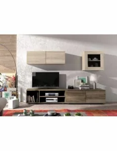 Composicion modular de...