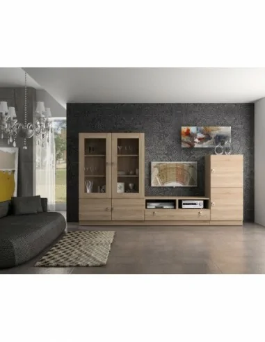 Composicion modular de salon moderna con vitrinas muebles colgados a diseño  (206)