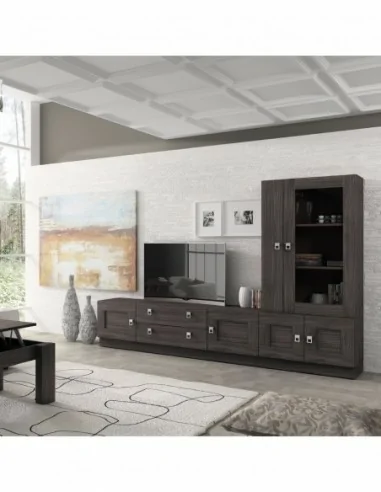 Composicion modular de salon moderna con vitrinas muebles colgados a diseño  (218)