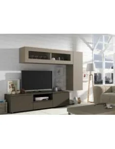 Composicion modular de...