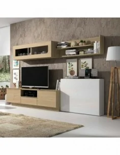 Composicion modular de...