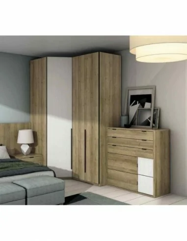 camas abatibles con armarios a medida diseño interior a gusto del cliente personalizable con sofa (11)