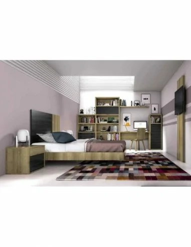 camas abatibles con armarios a medida diseño interior a gusto del cliente personalizable con sofa (59)