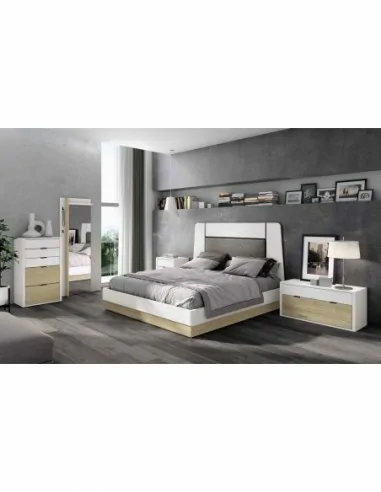 camas abatibles con armarios a medida diseño interior a gusto del cliente personalizable con sofa (75)