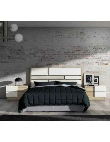 camas abatibles con armarios a medida diseño interior a gusto del cliente personalizable con sofa (79)