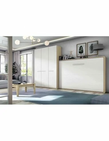 camas abatibles con armarios a medida diseño interior a gusto del cliente personalizable con sofa (88)