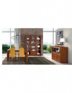 Conjunto de salon...
