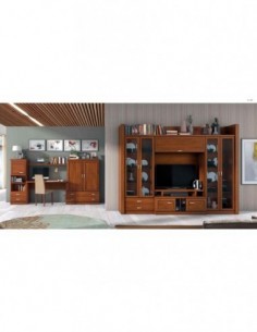 Conjunto de salon...