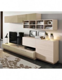 Muebles de salon diseño...