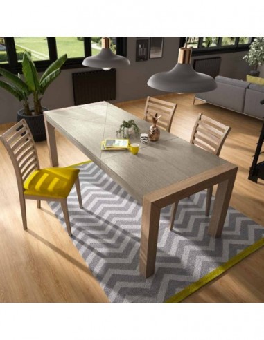 Mesa de comedor y centro a juego...