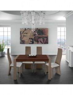 Mesa de comedor y centro a...