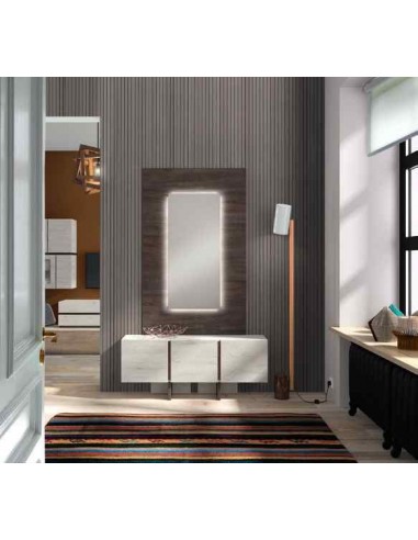 Mueble auxiliar de salon zapatero...