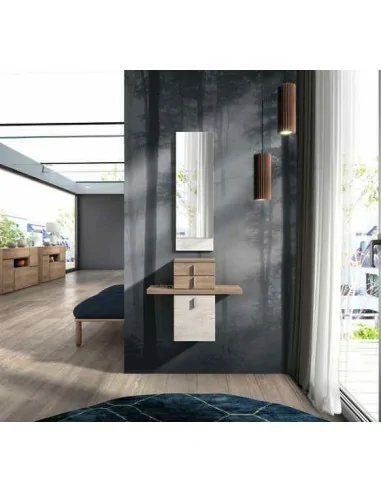 Mueble auxiliar de salon zapatero mesa de centro elevable a medida con diferentes tonos de color (13)