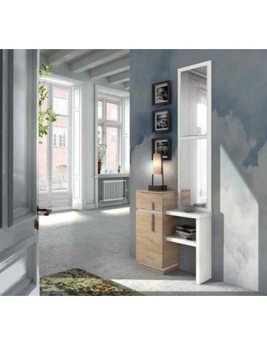 Mueble auxiliar de salon zapatero...