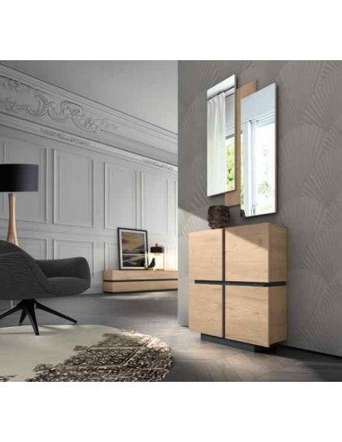 Mueble auxiliar de salon zapatero...