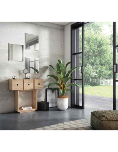 Mueble auxiliar de salon zapatero...