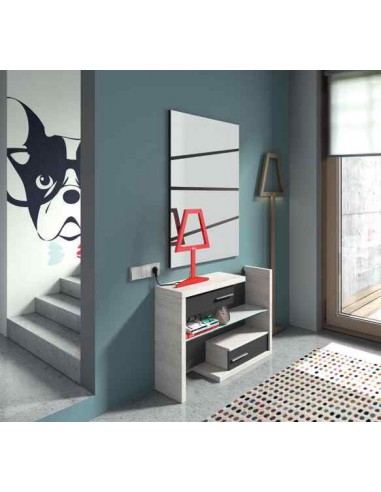 Mueble auxiliar de salon zapatero...