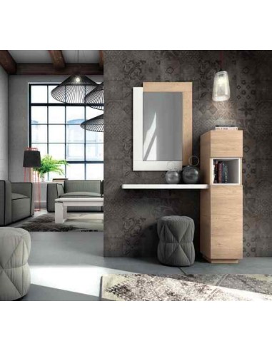 Mueble auxiliar de salon zapatero...