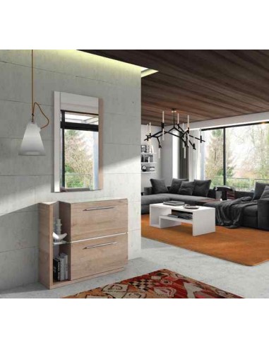 Mueble auxiliar de salon zapatero...