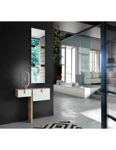 Mueble auxiliar de salon zapatero...