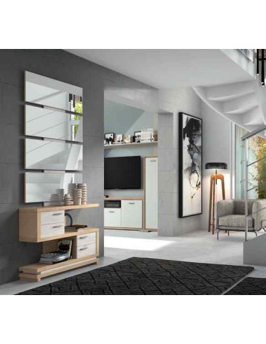 Mueble auxiliar de salon zapatero...