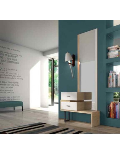 Mueble auxiliar de salon zapatero...