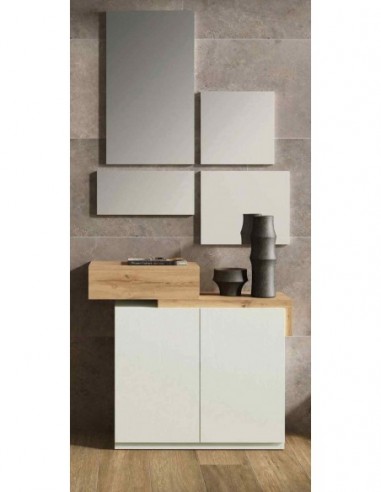 Entradita diseño moderno con formas...