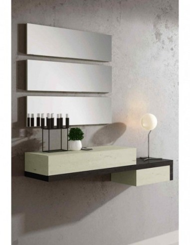 Entradita diseño moderno con formas...