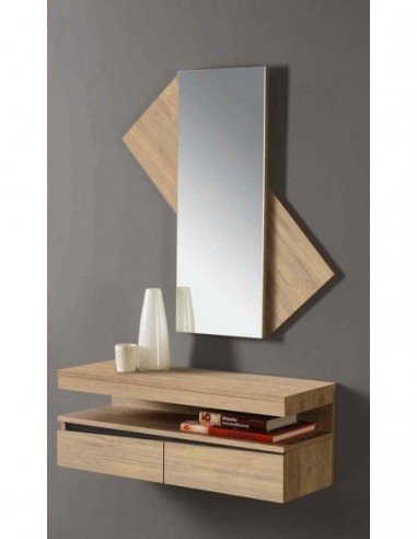 Entradita diseño moderno con formas...