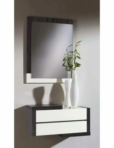 Entradita diseño moderno con formas extrañas elegantes diferentes colores y medidas con espejos (25)